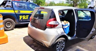 Artigo: Feria de Santana: polícia apreende 26 kg de drogas após perseguição policial