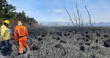 Artigo: Bombeiros controlam incêndios em Luís Eduardo Magalhães