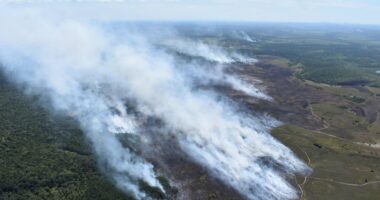 Artigo: Incêndio segue atingindo reserva indígena de Arraial D’Ajuda