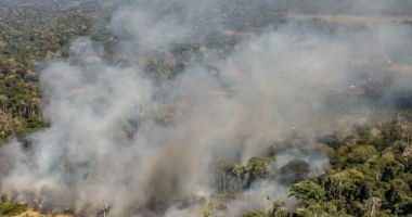 Artigo: Porto Seguro: Incêndio atinge área indígena