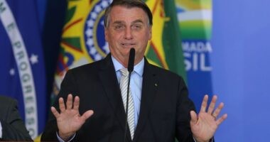 Artigo: Obras antigas das BR-116 e 235 devem ser paralisadas por indícios de corrupção