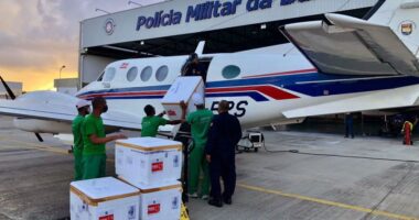 Artigo: Bahia recebe novo lote de vacinas contra Covid-19