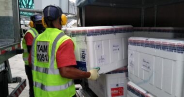 Artigo: Covid-19: Bahia recebe mais de 1 milhão de doses de vacinas