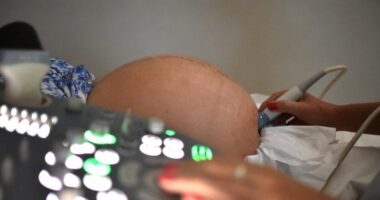 Artigo: Ministério da Saúde envia mais 2,6 milhões de doses aos estados