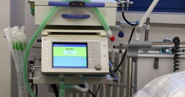 Artigo: Rio de Janeiro registra crescimento de casos da variante Delta