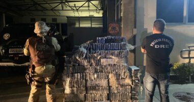 Artigo: PM e PF apreendem cerca de uma tonelada de cocaína em Santo Estêvão