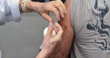 Artigo: Vacinação contra Covid-19 para trabalhadores da Educação começa nesta terça (27)