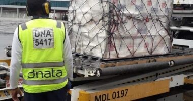 Artigo: Lotes com 396 mil doses de imunizantes contra Covid-19 chegam a Salvador