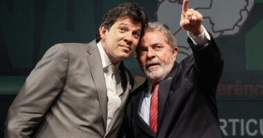 Artigo: Cotado para a presidência, Haddad deve concorrer ao governo de São Paulo