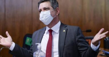 Artigo: Senador sobre depoentes na CPI: “Treinados para mentir e enganar o país”