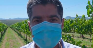 Artigo: PSL deve compor chapa encabeçada por ACM Neto em 2022, diz site