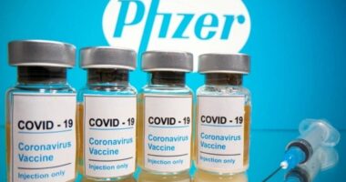 Artigo: Anvisa autoriza vacina da Pfizer contra covid-19 em crianças