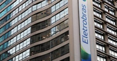 Artigo: Presidente da Eletrobras vê normalidade em processo de privatização