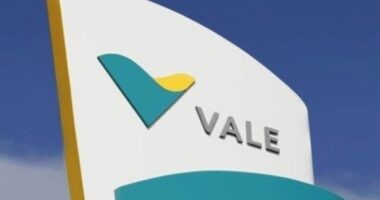 Artigo: Barragem da Vale corre risco “iminente” de ruptura; local foi interditado em 2020