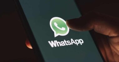 Artigo: Whatsapp não fará restrições a quem não aceitar política de dados