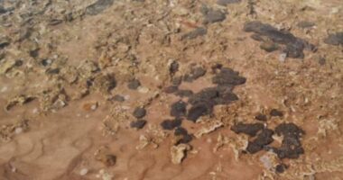 Artigo: Novas manchas de óleo são encontradas na região de Camaçari