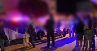 Artigo: Mulher é presa em flagrante após matar o tio a facadas