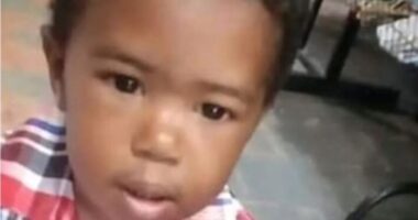 Artigo: Criança é encontrada sem vida na casa de vizinha, em Valéria