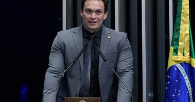 Artigo: Senador debocha de agressão sofrida por Joice Hasselmann