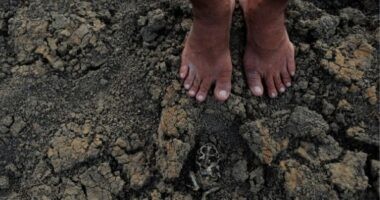 Artigo: Governo decreta estado de calamidade em Euclides da Cunha por conta da estiagem