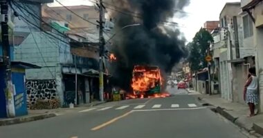 Artigo: Motorista fica ferido após ônibus ser incendiado no IAPI