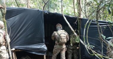 Artigo: Polícia encontra mortos em região de mata no bairro de Valéria