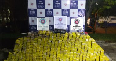 Artigo: PM apreende 420 kg de maconha em Itabuna