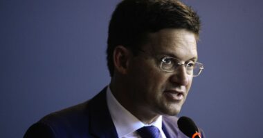 Artigo: Desempenho pífio de Roma em pesquisa impressiona democratas, diz coluna