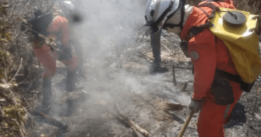 Artigo: Bombeiros seguem combatendo incêndio florestal na região de Pilão Arcado