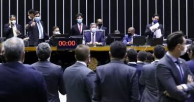 Artigo: Saiba como votaram os deputados baianos na PEC da Anistia