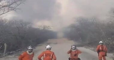Artigo: Bombeiros entram no 5º dia de combate às chamas em vegetação no norte