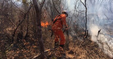 Artigo: Incêndios atingem região da Chapada Diamantina