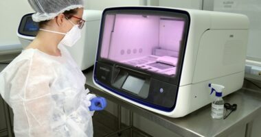 Artigo: Lacen registra aumento de mais de 800% em testes positivos para Covid-19