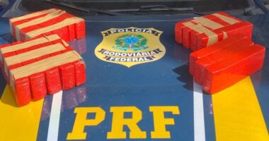 Artigo: Vitória da Conquista: polícia apreende quase 25kg de maconha em 2 ônibus