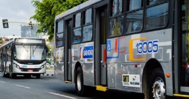 Artigo: Feira de Santana: ônibus voltam a circular após suspensão de greve