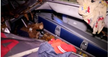 Artigo: Acidente entre 3 veículos deixa 12 mortos