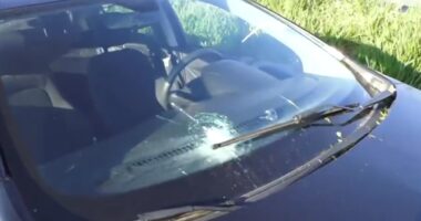 Artigo: Salvador: suspeito de roubar carro é baleado pela PM