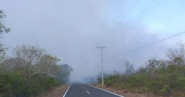 Artigo: Corpo de Bombeiros envia reforços de Salvador para combater incêndio no Oeste