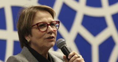 Artigo: Tereza Cristina vem à Bahia visitar cidades afetadas por chuvas, diz coluna