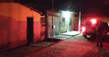 Artigo: Suspeitos fazem mulher grávida e criança reféns