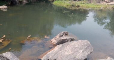 Artigo: Jovem morre afogado ao tentar pegar celular que caiu em rio