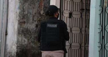 Artigo: Homem é preso suspeito de abusar da afilhada de 12 anos em Amargosa