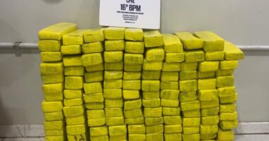 Artigo: 4 pessoas são presas com 130kg de maconha em Serrinha