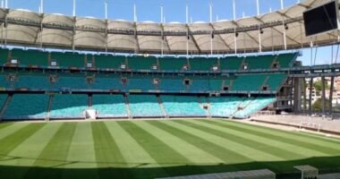 Artigo: Por medidas restritivas, jogo entre Brasil e Chile em Salvador é cancelada