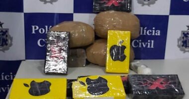 Artigo: Polícia apreende 13 Kg de drogas na zona rural de Ilhéus