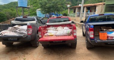 Artigo: Polícia apreende meia tonelada de explosivo em ação