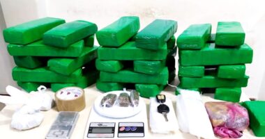 Artigo: Vitória da Conquista: polícia apreende 29 tabletes de maconha em veículo