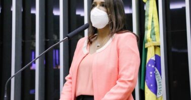 Artigo: Câmara aprova aumento da pena para crimes cometidos contra mulheres em situação de violência doméstica