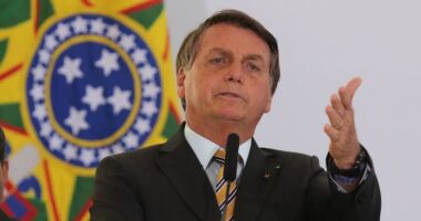 Artigo: Bolsonaro volta a criticar vacinação de crianças: “pessoas taradas por vacina”
