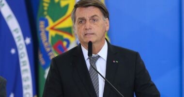 Artigo: Em encontro com embaixadores, Bolsonaro volta a atacar sistema eleitoral